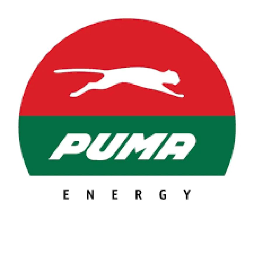 Vaga – Gestor de Saúde, Segurança e Meio Ambiente na Puma Energy