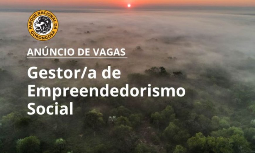 Vaga – Gestor/a de Empreendedorismo Social-Inclusão Financeira – Parque Nacional da Gorongosa, Província de Sofala